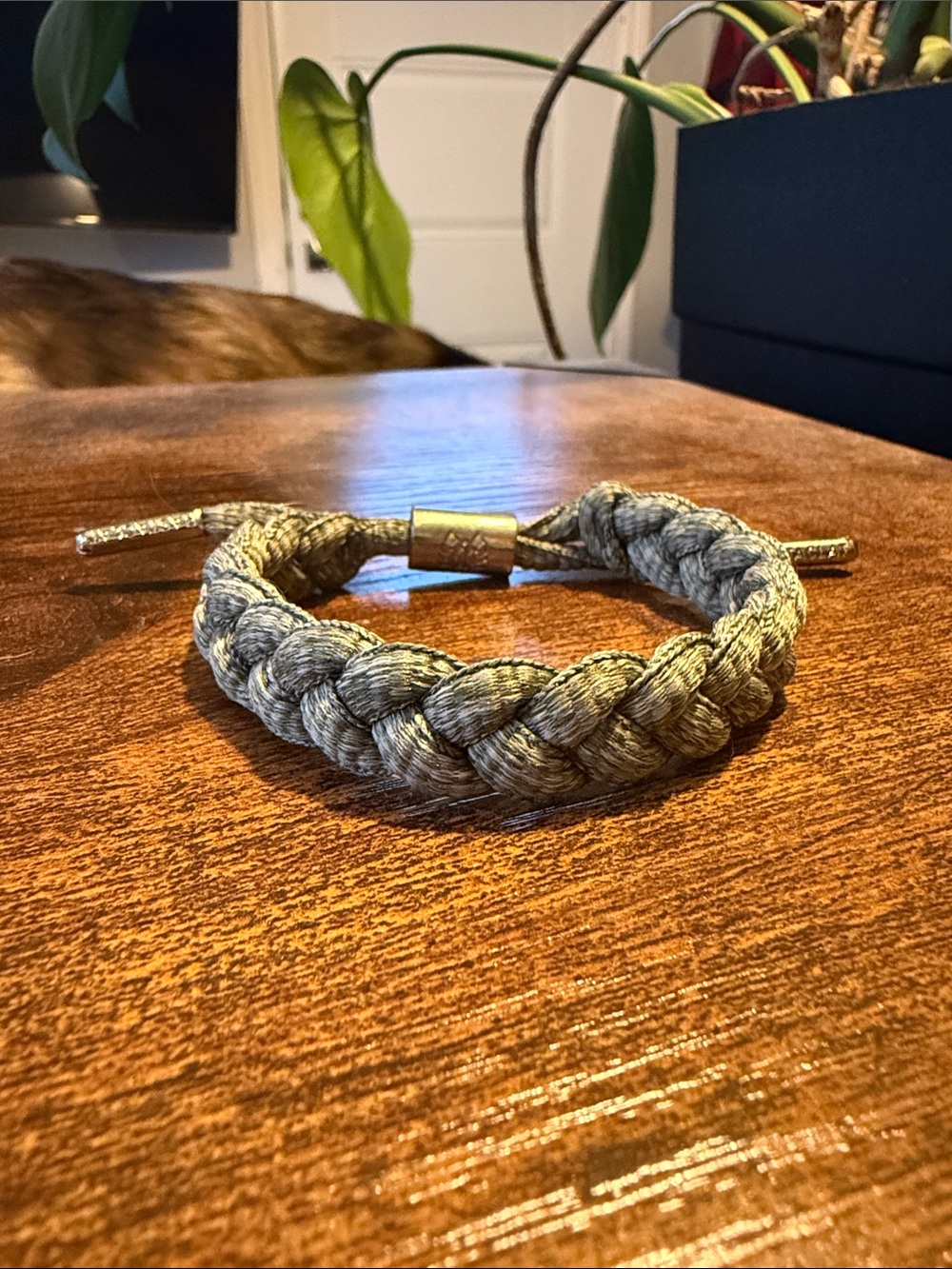 Braided Cord Bracelet with Gold Accent